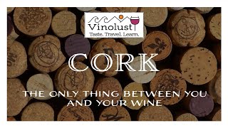 Vinolust Wine Webinar - Cork