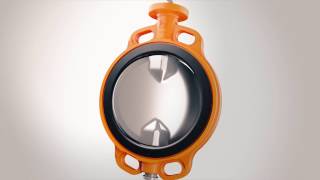 WouterWitzel Process of vulcanization rubberlined butterfly valves, bonded to the body