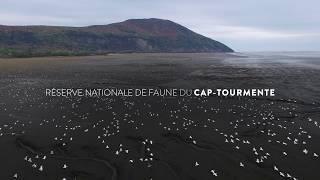 Découvrez la réserve nationale de faune du Cap-Tourmente – tout près de la ville de Québec au Québec