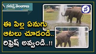 Viral Video: పిల్ల ఏనుగు జ‌ల‌కాలాట‌..చూసినోళ్ల మ‌న‌సుదోచేన‌ట‌..!! | Baby Elephant Playing In Water