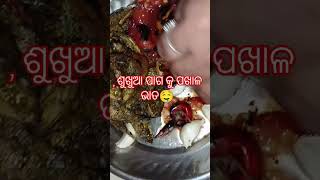 ଶୁଖୁଆ ପାଗ କୁ ପଖାଳ ଆଜି ଉଡିବ 🤤 #odiakhaiba #foodvlog #food #odiadesikhaiba #odiafoodvlogs #foodie