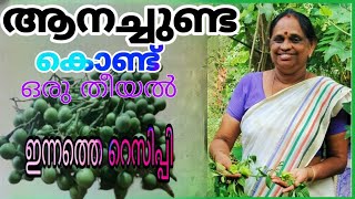 ചുണ്ടയ്ക്കാ തീയൽ അതിരുചികരമായ . ഒരു നാടൻ റെസിപ്പി . ശ്രമിച്ചു നോക്കൂ