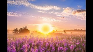 GOOD MORNING MUSIC 💖 528Hz Positive Energy ➤ Soothing Beautiful Deep Morning Boost Meditation Music