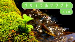 流れる川の音(BGM)