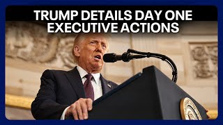 Trump details Day One executive orders: ‘Revolution of common sense’