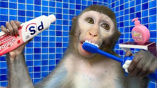 Baby Monkey Bim Bim Brush Teeth And Bathing In The Toilet And Go Shopping With Duckling
