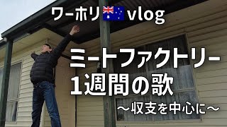 【ワーホリvlog】ミートファクトリー1週間の歌～収支を中心に～