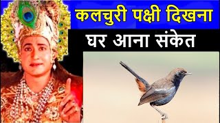 कलचुरी पक्षी का दिखना या घर में आना संकेत ! क्या कहते श्री कृष्ण ! kalchuri pakshi ka ghr me aana\\