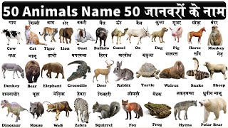 50 animals name english and hindi with Pdf | 50 जानवरों के नाम हिन्दी और अंग्रेजी में |