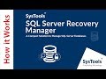 Remove Encryption From SQL Server database Objects with Ease