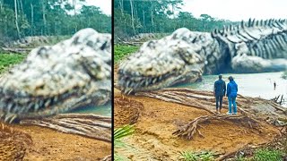 20 Largest Amazon Monsters Ever Discovered