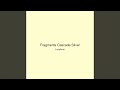 Fragments Cascade Silver