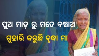 ପୁଅ ମାଡ଼ ରୁ ମତେ ବଞ୍ଚାଅ ଗୁହାରି କରୁଛି ବୃଦ୍ଧା ମା#JAGRUTI LIVE MEDIA#ODIA NEWS