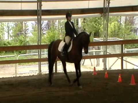 Dressage Test. Walk/Trot B - YouTube