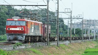 JR貨物 EH500-18牽引 3074レ JR東北本線(宇都宮線) 蓮田～東大宮 区間