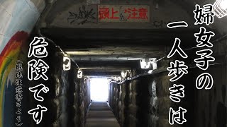 【古代遺跡？】吉原駅構内の地下通路(ノーカット版)