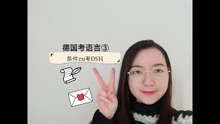 lulu留德璐Jetzt/在德国考DSH（条件ZU）/考场环境如何？如何报名？/难吗？/FAU DSH