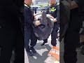 berlin police use pain grip to remove climate protester out of the road