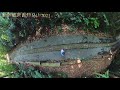 武吉知马山，有了新的行人隧道，进山路安全多了！ bukit timah road 2021