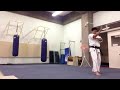 seipai kata kyokushin