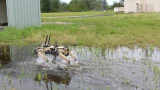 Vision 60 Swamp Dog Q-UGV: Tyndall AFB 24x7 Perimeter Autonomous Patrol