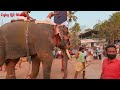 mass entry of elephants sivapuram sree madankav temple kalluvathukkal sivarathri mahotsavam 2024