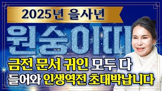 🌟2025년 을사년 원숭이띠운세🌟 2025년 금전,귀인,문서운 한번에 다 들어온다! 원숭이띠분들 인생이 바뀝니다! 56년생 68년생 80년생 92년생 04년생 운세