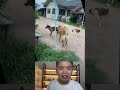 Đình hiền reaction giao lưu với nhau. shorts