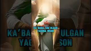 Payg'ambarimizning eng yaqin sahobalaridan Ali ibn Abu Tolib xaqida!