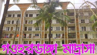 গওহরডাঙ্গা মাদ্রাসা, গোপালগঞ্জ