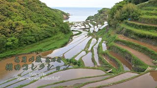 5月の旅 其の壱　佐賀・棚田コレクション(一部長崎)