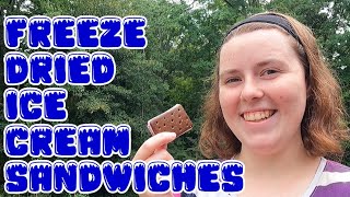 How to Freeze Dry Ice Cream Sandwiches – So GOOD!