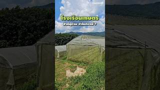 โรงเรือนเกษตรสำคัญไฉน ทำไมต้องมี ? ไปฟังกันเลย! #เกษตรกรก้าวหน้า #โรงเรือน