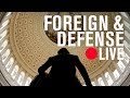 Global views on democracy: Losing faith in the democratic ideal? | LIVE STREAM