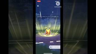 【ポケモンGO】コメパン一つで全てが変わるハードロックピカチュウが最強すぎる卍(リトルホリデーカップ)#ポケモンgo #ポケモン #goバトルリーグ #shorts