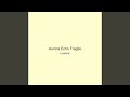 Aurora Echo Fragile