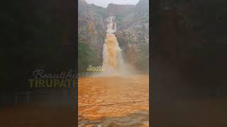 Current Situation At Kapilatheertham Waterfalls Today Beautiful waterfall #beautifultirupathi #short