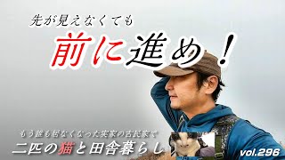 【フカセンvlog296】そこに息を呑む絶景を見た！／死者数世界一の山、谷川岳／ランランは何を心配？／実家の古民家で保護猫と田舎暮らし。