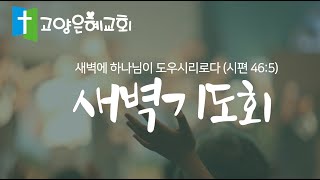 [고양은혜교회]새벽기도회 |23.12.20.수|출애굽기8장|이인욱목사