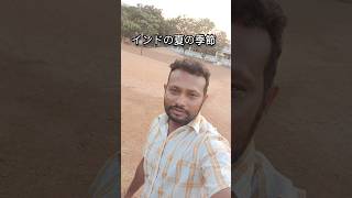 インドの夏の季節 #india #shorts #japan #インド