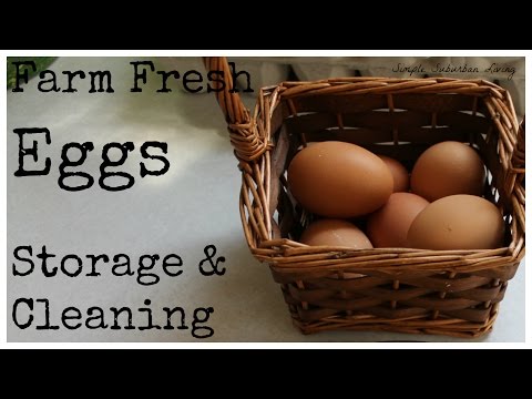 Farm Fresh Eggs - Storage and Cleaning Farm Fresh Eggs - Storage and Cleaning