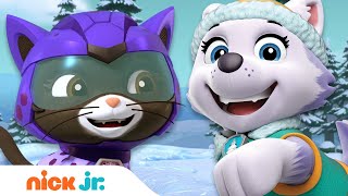 PAW Patrol \u0026 Cat Pack Rescue a Baby Mountain Goat! w/ Everest \u0026 Shade | Nick Jr.