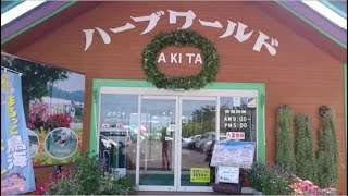 由利本荘市】ハーブワールドへぶどう狩りに行ってきました【2019/09/04】