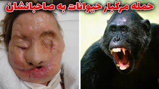 10 تا از ترسناکترین حمله های مرگبار حیوانات به صاحباشون