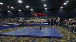 Vahe Petrosyan - Pommel Horse - 2020 Winter Cup Jr. Prelims and Elite Team Cup