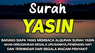 Surah Yasin | Bacaan Merdu DiMudahkan Segala Urusannya Dilancarkan Rezekinya Terhindar Dari Penyakit