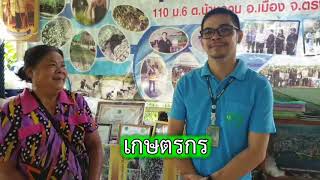 TRANG DOAE  บ้านพอเพียงเลี้ยงชีวิต สู้ COVID 19 อำเภอเมืองตรัง จังหวัดตรัง