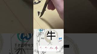 学习写汉字“牛/Cow ” Learn to write chinese characters