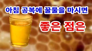 아침 공복에 마시면 좋은 꿀물 효능