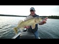 viking lodge trophy bear hunt in manitoba